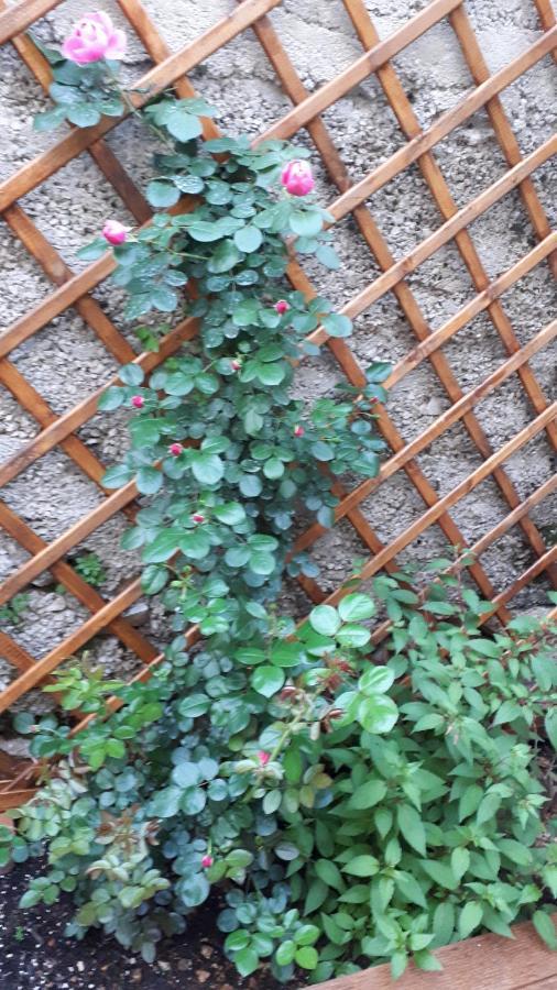 Apartman Hidden Gem Szybenik Zewnętrze zdjęcie
